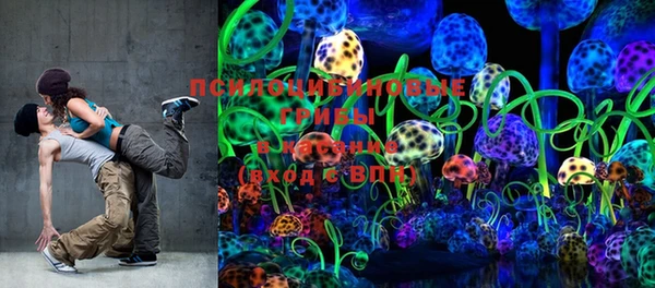 PSILOCYBIN Покров