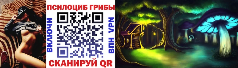Галлюциногенные грибы ЛСД  Купить где  Чудово 